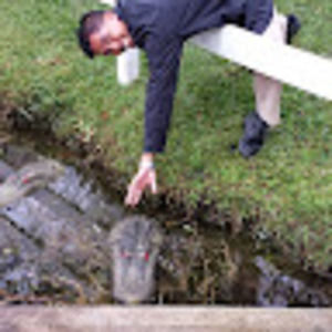 Meet your Posher, Gator